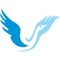 Fallback Image
